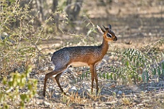 Afrika__99_6155_filtered