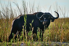 Afrika__99_8367_filtered
