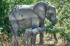 Namibia__99_9075_2