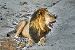 Afrika__99_8301_filtered