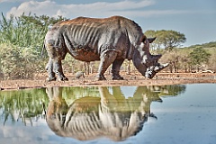 Afrika__99_4839