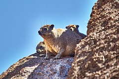 Afrika__99_4381_filtered