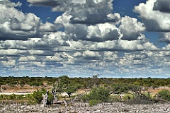Etosha Nationalpark