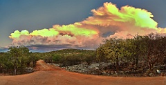 GAnz in der Nähe der Etosha Pfanne